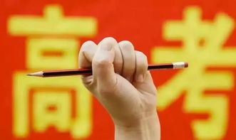  新高考改革何去何從(村治改革，組長何去何從)