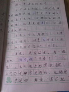 關(guān)于畫畫的開頭作文四百字