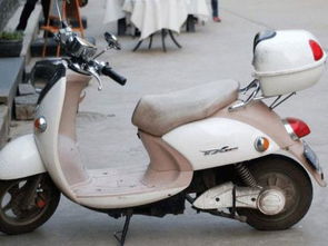 學騎電動車作文開頭