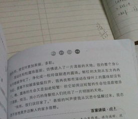 寫(xiě)一個(gè)與秋有關(guān)的作文開(kāi)頭結(jié)尾
