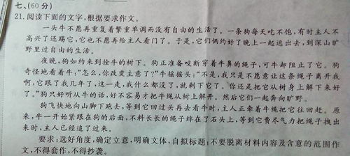 歷史值得銘記作文600字作文開頭