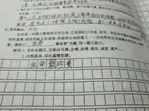 高貴的生命開頭結尾作文