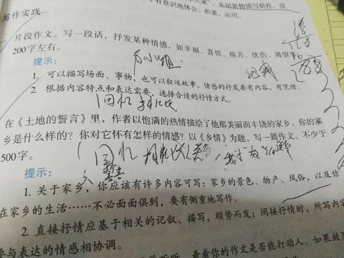 鄉(xiāng)情作文初一開(kāi)頭