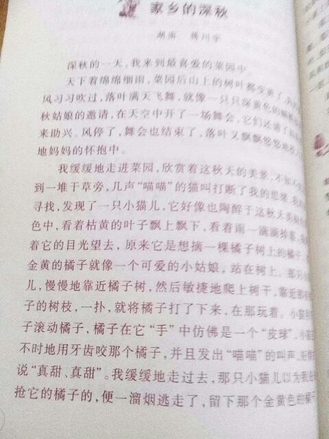 發(fā)現(xiàn)風(fēng)景作文600字作文開頭與結(jié)尾