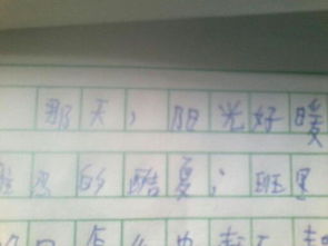 那一天陽(yáng)光好溫暖作文500字作文開頭