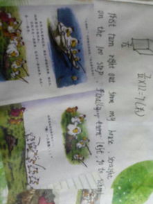 描寫校園是自己的家的作文開頭結(jié)尾怎么寫