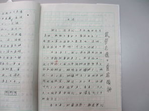 別人給我喝彩的作文開頭結尾