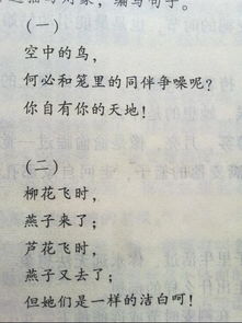 仿寫句子到作文開頭