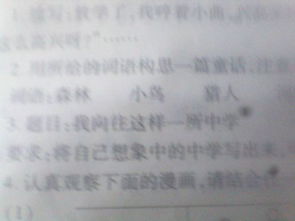 向往時間停止作文開頭