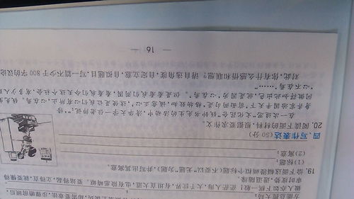 關于第一次為主題的作文開頭800字