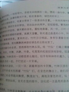 關(guān)于比賽場(chǎng)面描寫開頭作文