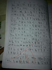我家的快樂的事三級作文開頭結尾
