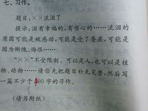 他怎么了作文500字五級(jí)開頭