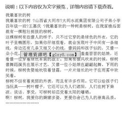 描寫黃角樹的作文開頭