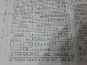 發(fā)現(xiàn)什么的作文600字作文開(kāi)頭