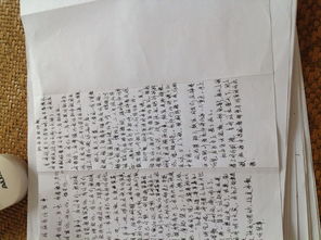 以陪伴是一種幸福作文開頭