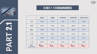月度工作報(bào)告(月度工作報(bào)告)