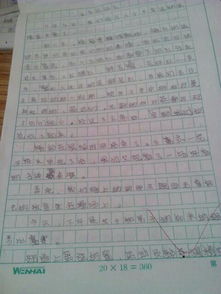 以聲音開頭的運動會作文