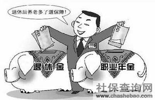 補(bǔ)充養(yǎng)老保險(補(bǔ)充養(yǎng)老保險)
