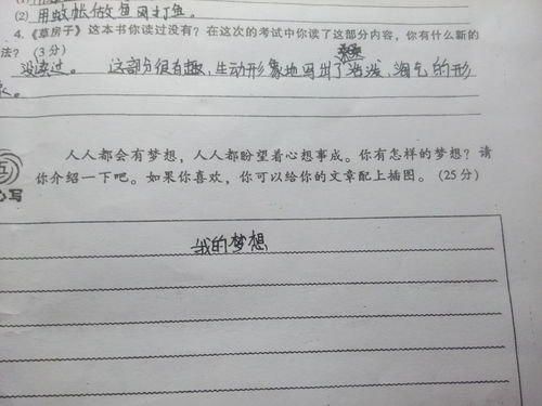寫一個我的夢想的作文開頭結(jié)尾