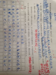 關(guān)心父母作文開頭