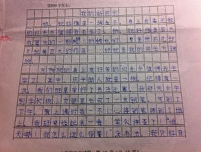 我選擇了同學(xué)的作文開(kāi)頭結(jié)尾