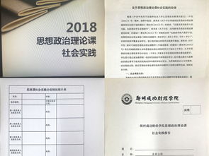 思政課教學(xué)實踐報告(思政實踐報告)