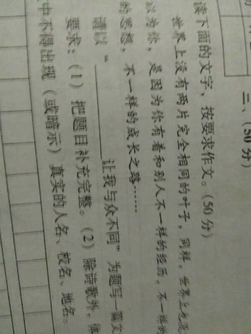 與眾不同的她作文500字作文開頭