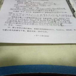 幫助別人自己幸福的作文開(kāi)頭結(jié)尾
