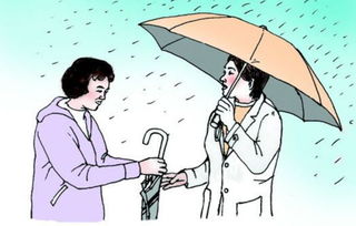 感動(dòng)雨中送傘的作文開頭