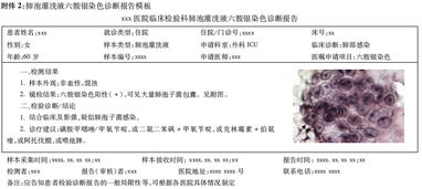 醫(yī)學(xué)檢驗(yàn)專(zhuān)題報(bào)告范文(見(jiàn)習(xí)專(zhuān)題報(bào)告范文)