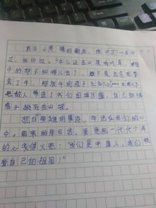 沒有把握好機(jī)會的作文開頭