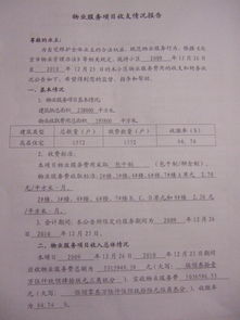關(guān)于物業(yè)服務(wù)收支情況報(bào)告范本(資金收支管理情況自查報(bào)告)