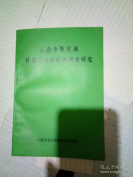 城市少數(shù)民族家庭情況調查報告(家庭用電情況調查報告)