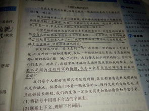 完美無缺憾的作文開頭