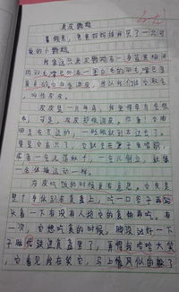 心愛之物作文400字的開頭