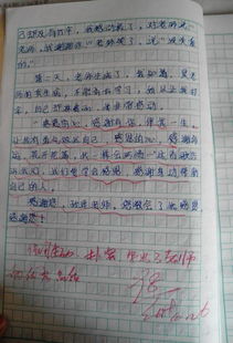 敬佩他人的作文開(kāi)頭或結(jié)尾