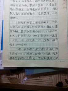 友情作文開頭句摘抄大全