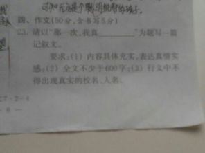那一次我真為題600字的作文開頭