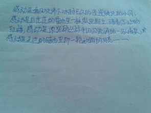 感動的作文初一作文600字作文開頭