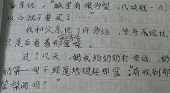 寫親人的初中作文(寫親人的作文初中)