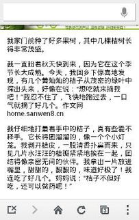 校外見聞作文的開頭