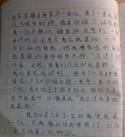 動(dòng)物充滿愛的作文600字作文開頭