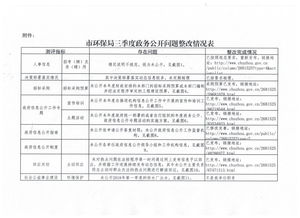 政務(wù)公開自查整改報(bào)告(年政務(wù)公開自查整改報(bào)告（條例） )