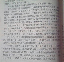 我身邊的新農(nóng)村的作文開頭