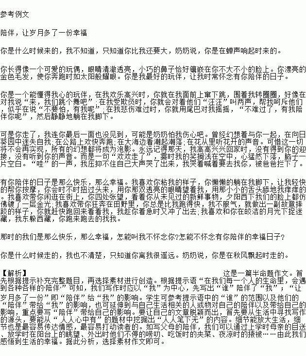 陪伴讓我多了一分溫暖作文開頭結尾