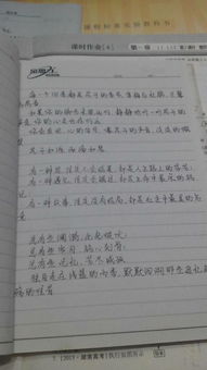 偶遇的作文開頭句