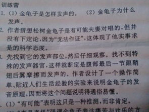 現(xiàn)在我不再作文600字作文開頭