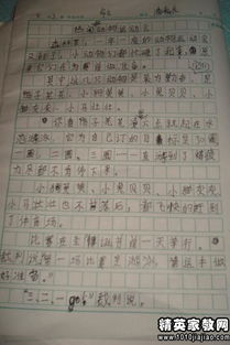 我眼中的運(yùn)動會作文好的開頭