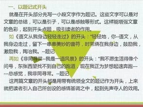 有一種幽默叫老師作文開頭